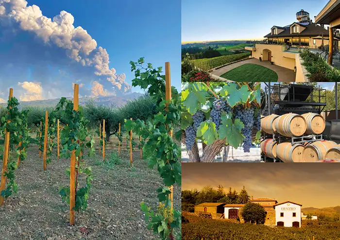 ワインペアリングセレクション｜ローストビーフの店 鎌倉山 横浜スカイ