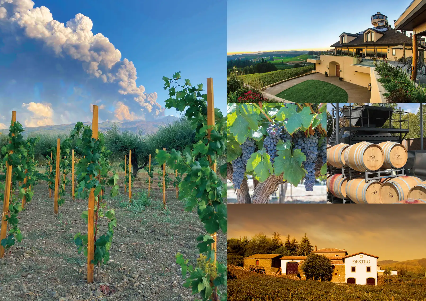 ローストビーフの店 鎌倉山 スカイビル店 世界のワイン